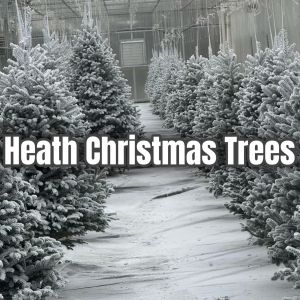 Heath Christmas Trees