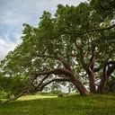 Lee and Collier County Homeschoolers of Florida