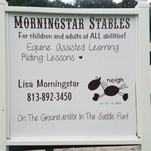 Morningstar Stables