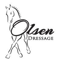 Nicole Olsen Equestrian Dressage