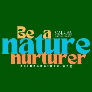 Calusa Nature Center - Outdoor Explorers Summer Camp