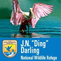 J.N. "Ding" Darling National Wildlife Refuge