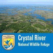 Crystal River National Wildlife Refuge