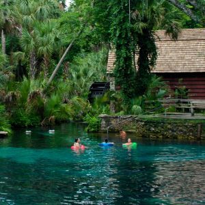 Juniper Springs Recreation Area