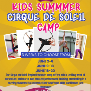 Cirque de Soleil Camp at Pole & Aerial Fitness