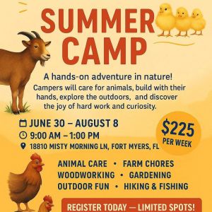 Misty Morning Farm School Summer Camp