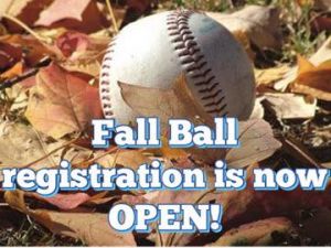 Naples Cal Ripken Baseball League