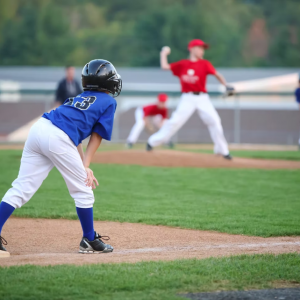 Pine Island Youth Baseball