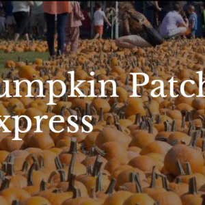 10/18 - 26 Florida Railroad Museum Pumpkin Patch Express