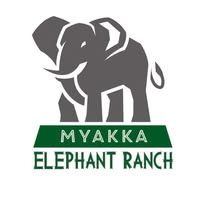 Myakka City - Myakka Elephant Ranch