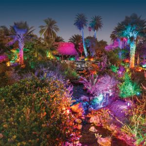 11/28-01/04 Johnsonville Night Lights in the Garden