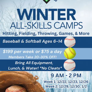 D-Bat Fort Myers - Winter All Skills Camps
