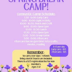 Gymnastic World Fort Myers Spring Break Camp