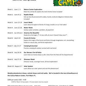 Woodland Nature Montessori School Summer Camp