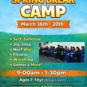 Punta Gorda Martial Arts Spring Break Camp