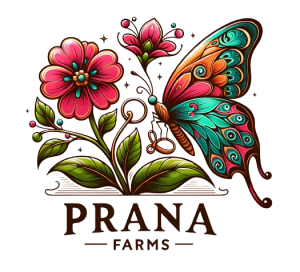 Prana Farms Summer Camps