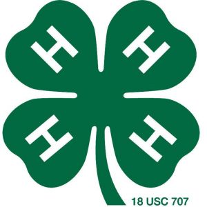 Lee County 4-H Youth Programs