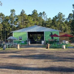 Shades of Green Riding Stable - Birthday Parties